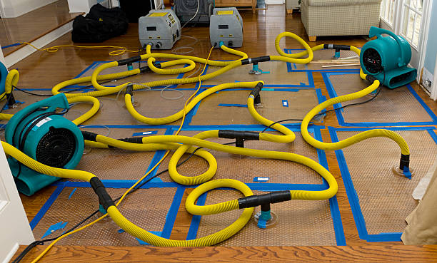 Professional Flood Damage Restoration technician working in Scotland, SD